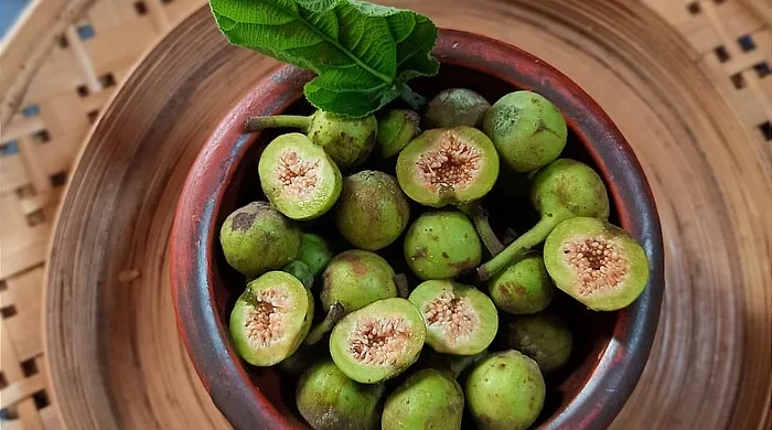 ডুমুর ফল এবং ফুলের চিত্র