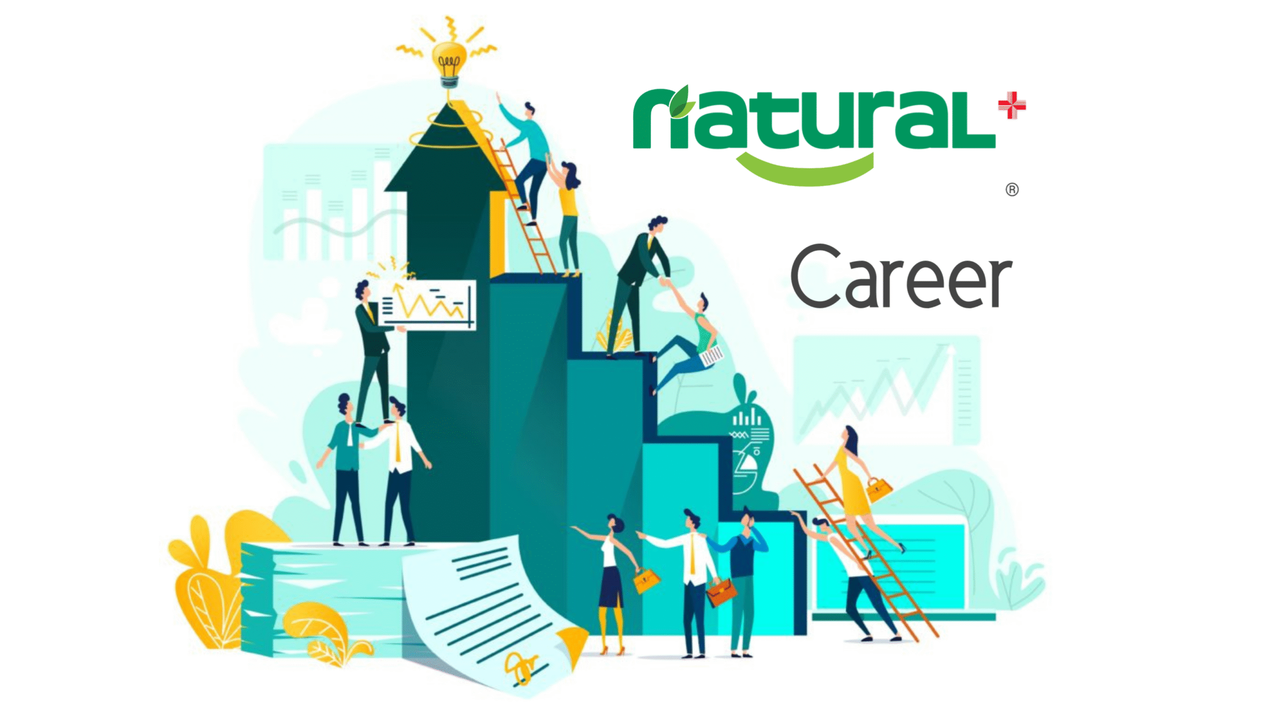 ক্যারিয়ার ( Careers )