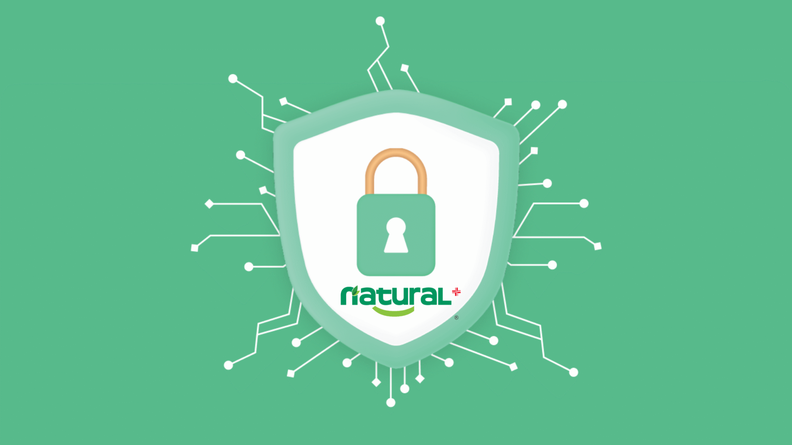 গোপনীয়তা নীতি (Privacy Policy)