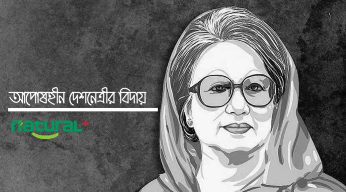 বেগম খালেদা জিয়ার রাজনৈতিক জীবনের প্রতীকী ছবি